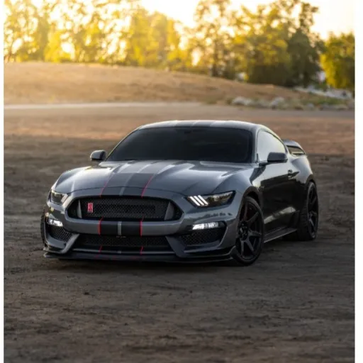 creator mustanguy104's avatar