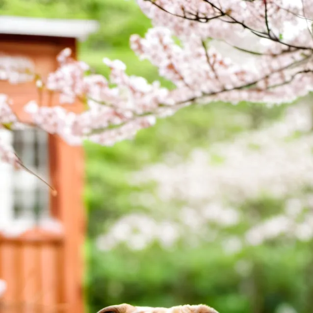 chat with ai character: Champion 