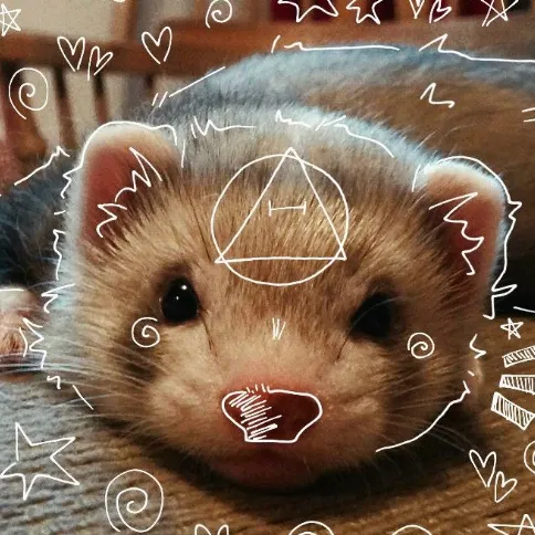 creator Me a bad boy.'s avatar