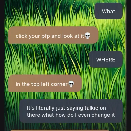 talkie's author avatar