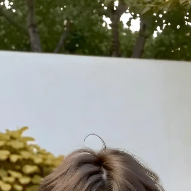 chat with ai character: justin ( nsb )