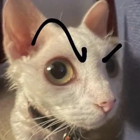 creator (*ˊᗜˋ*)'s avatar