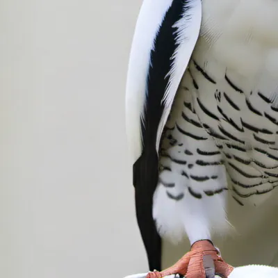 chat with ai character: MHA X HW ROAD TRIP