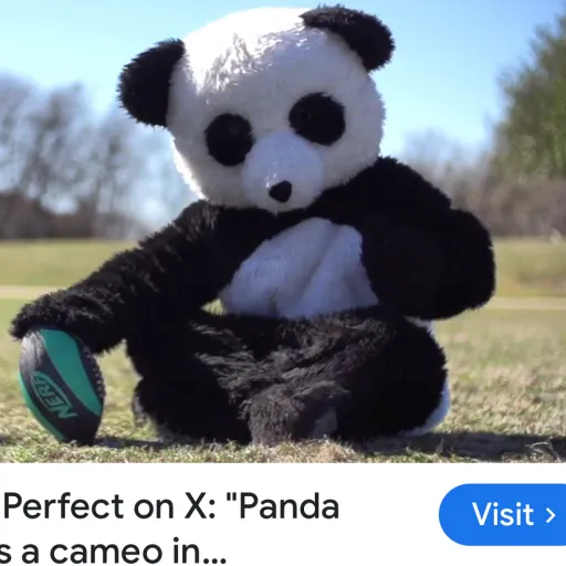 creator Joe Jonas girl's avatar