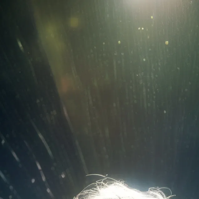 chat with ai character: Amelia