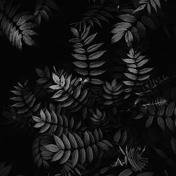 creator Khxshi22's avatar