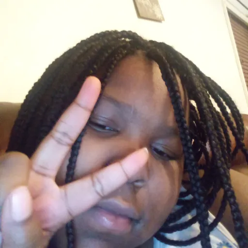 creator Ice 1208's avatar