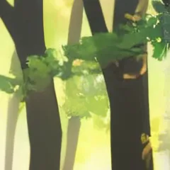 chat with ai character: Marine the racoon 