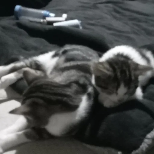 creator tsppppp's avatar