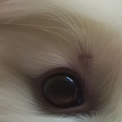 chat with ai character: Daisy