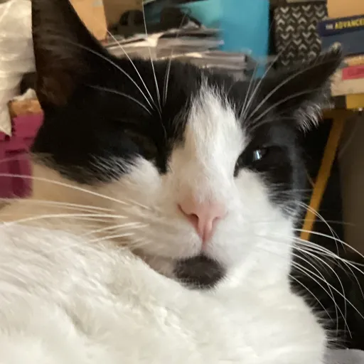 creator Ev3lynP0tat0's avatar