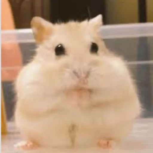 creator Rosa🥀💄$'s avatar