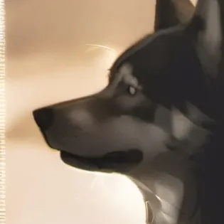 chat with ai character: MHA Fight?