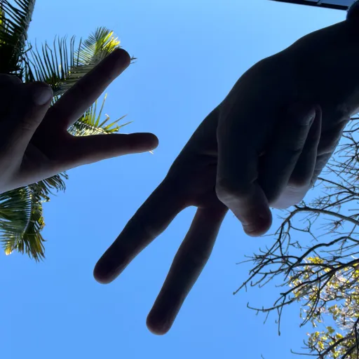 creator Buddy cakes's avatar