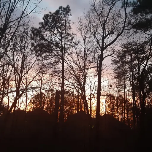 creator ABCD 1234's avatar