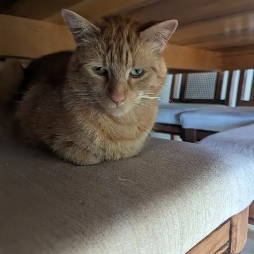 creator soopsee's avatar