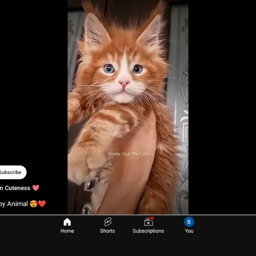 creator Emilyxd's avatar