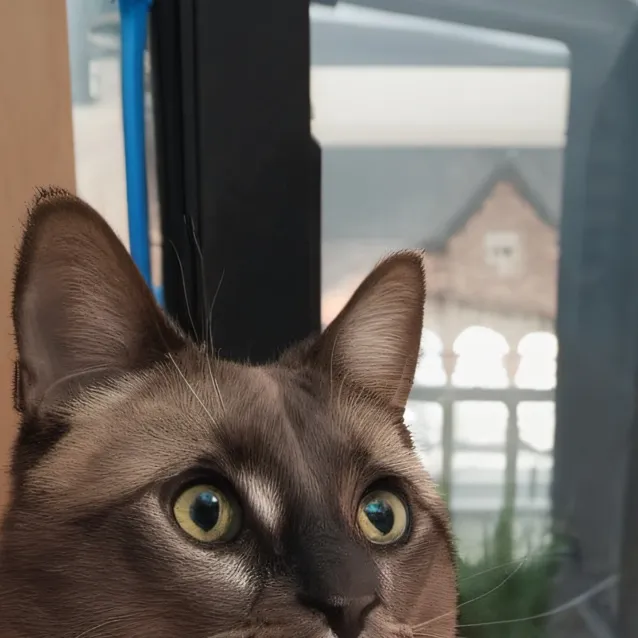 chat with ai character: Diamond 