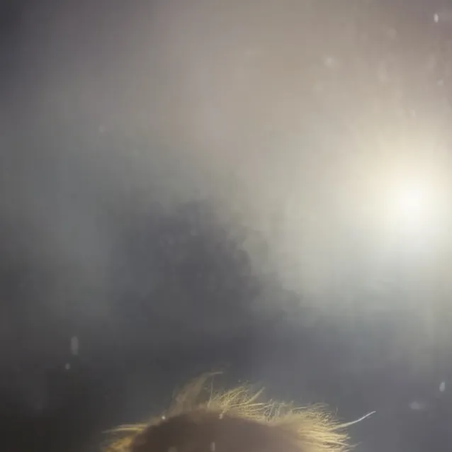 chat with ai character: Tanya