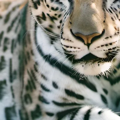 chat with ai character: Ruby