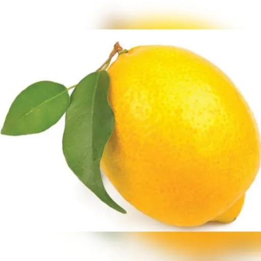 creator the summoned lemon's avatar