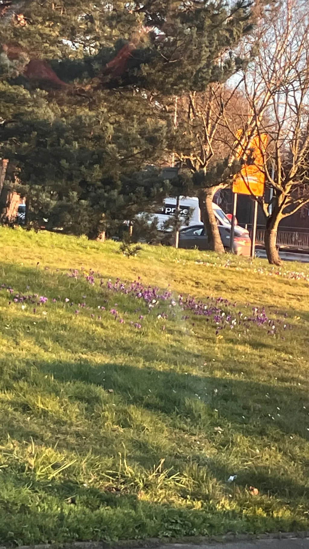 ai character: Deku x you  background