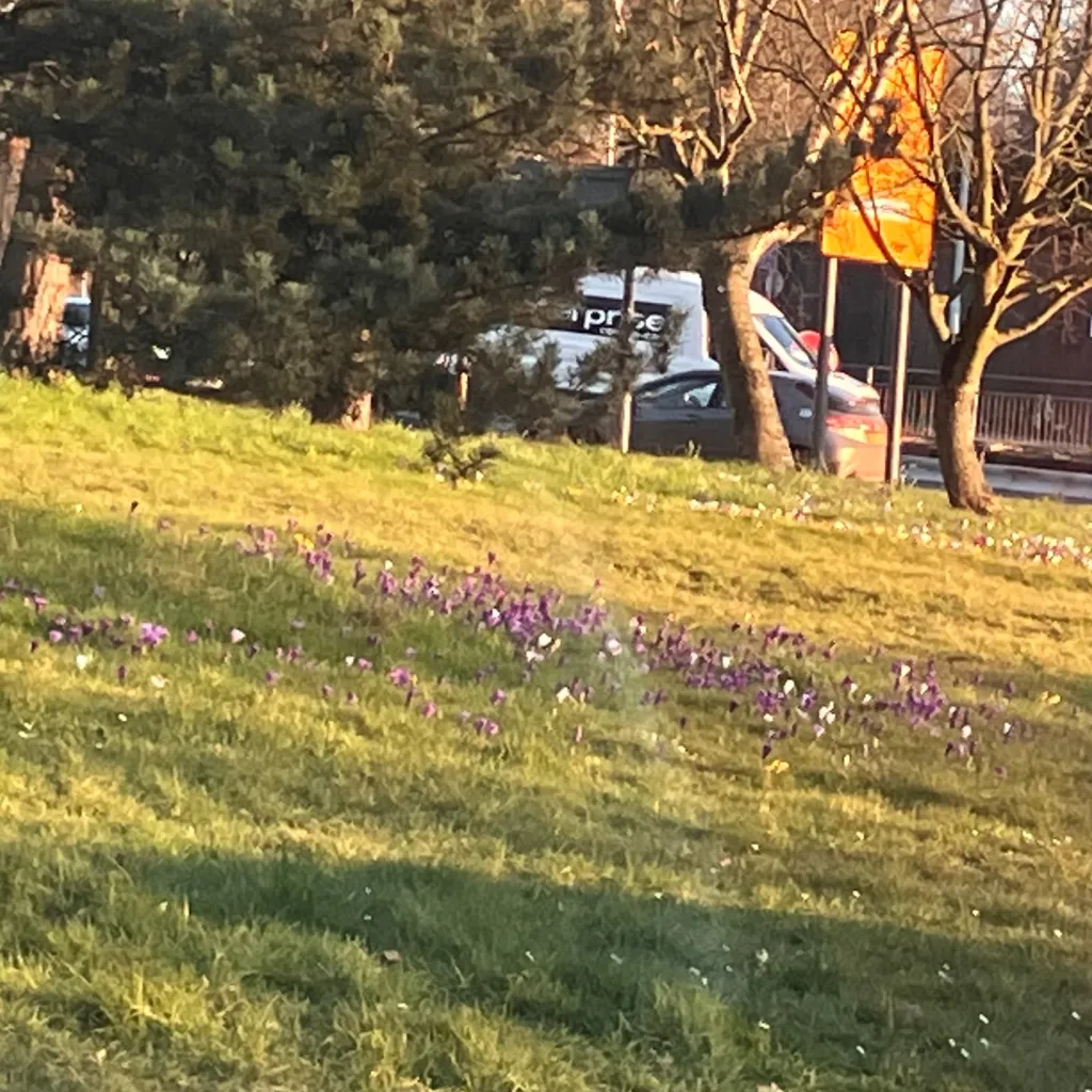 chat with ai character: Deku x you 