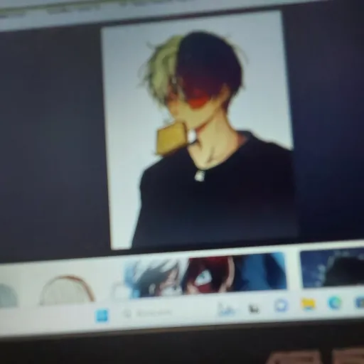 creator shototodoroki_:)'s avatar