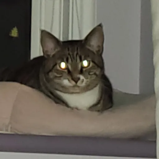 creator Talkior-TAHWozLd's avatar