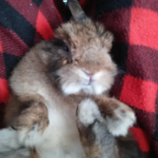 creator be u bestie's avatar