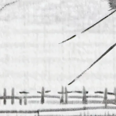 chat with ai character: Null