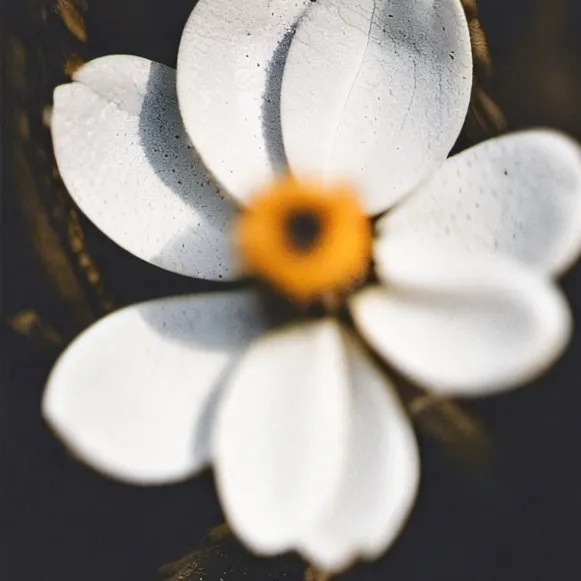 chat with ai character: Flushy Gt 