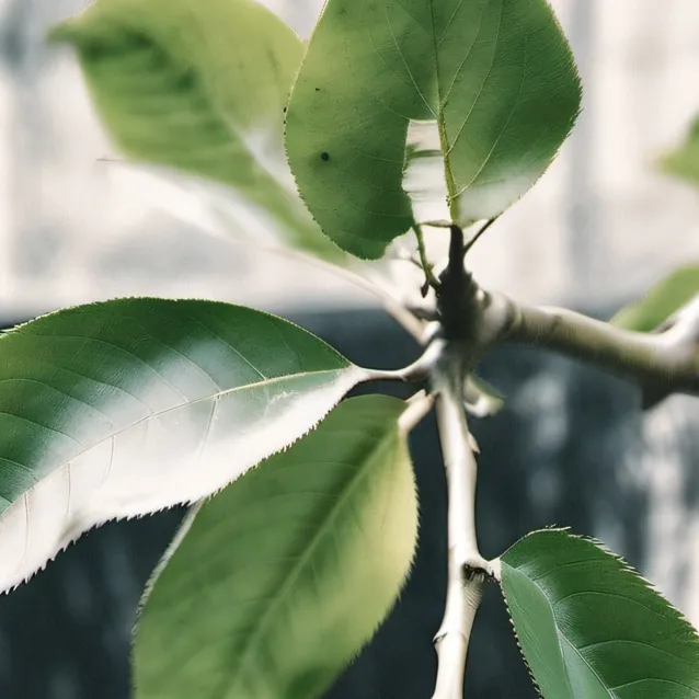 chat with ai character: For Mars my friend