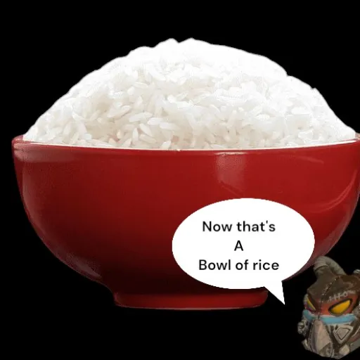 creator rice  bowl's avatar