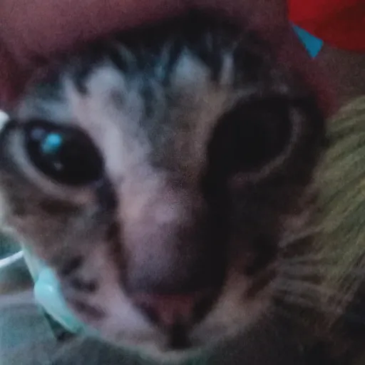 creator BL.Manwha.Lover's avatar