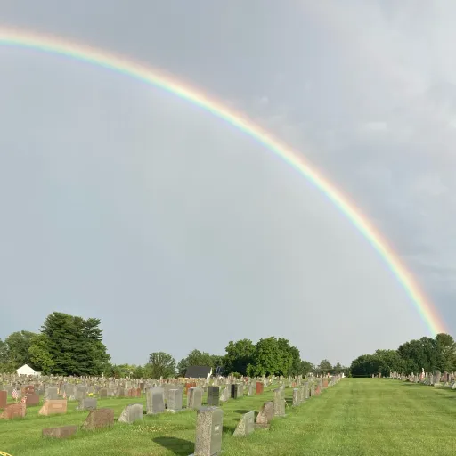 creator SNOWY10's avatar