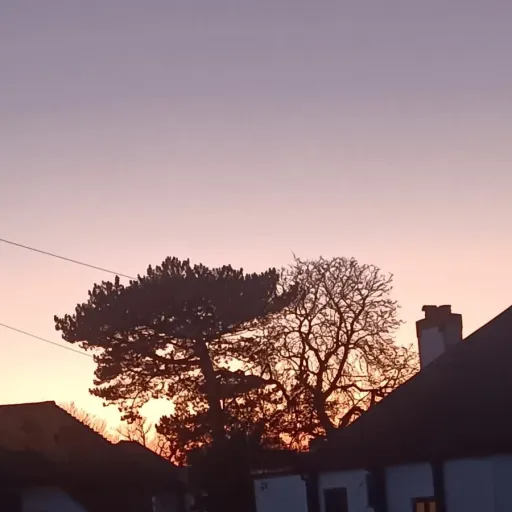 creator ben the trillionia's avatar