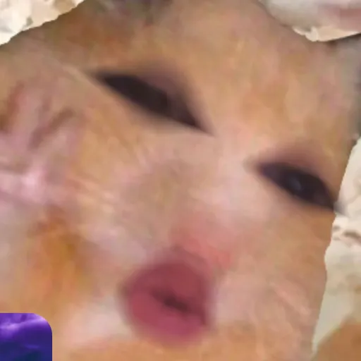 creator W1LDY's avatar