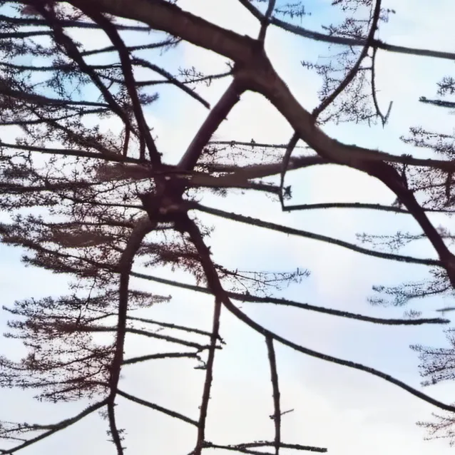 chat with ai character: YanYan