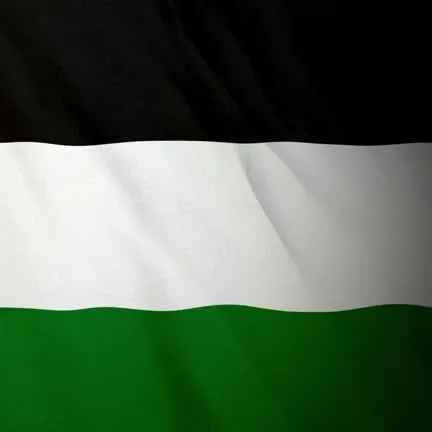 creator Talkior-hIkpt2xV's avatar