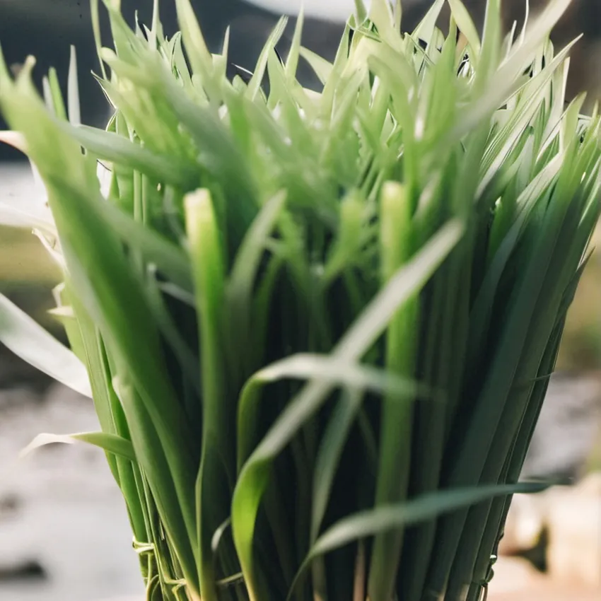 chat with ai character: HH springlock fail