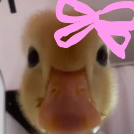 creator Alice:0's avatar