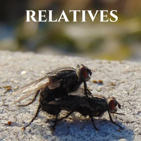 creator Ysuwjwiabe's avatar