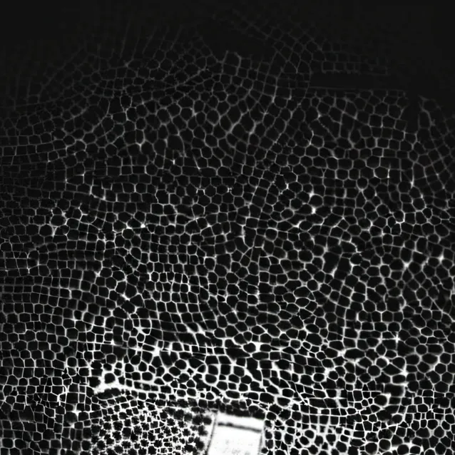 chat with ai character: T.F. Leprocy