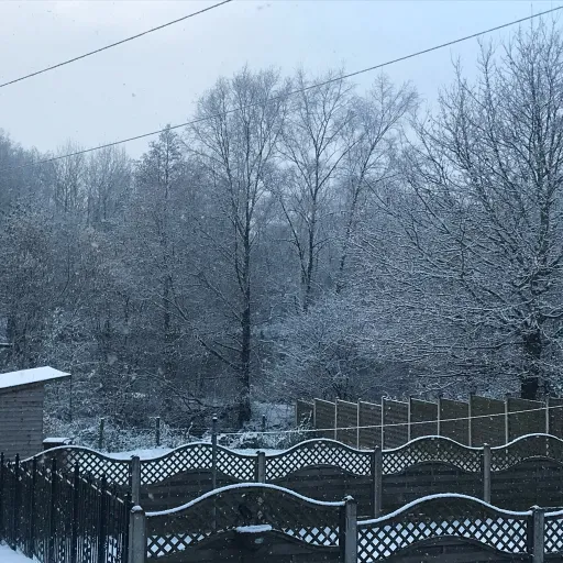 creator Kiera🎀🧿🧁🍩🤍's avatar