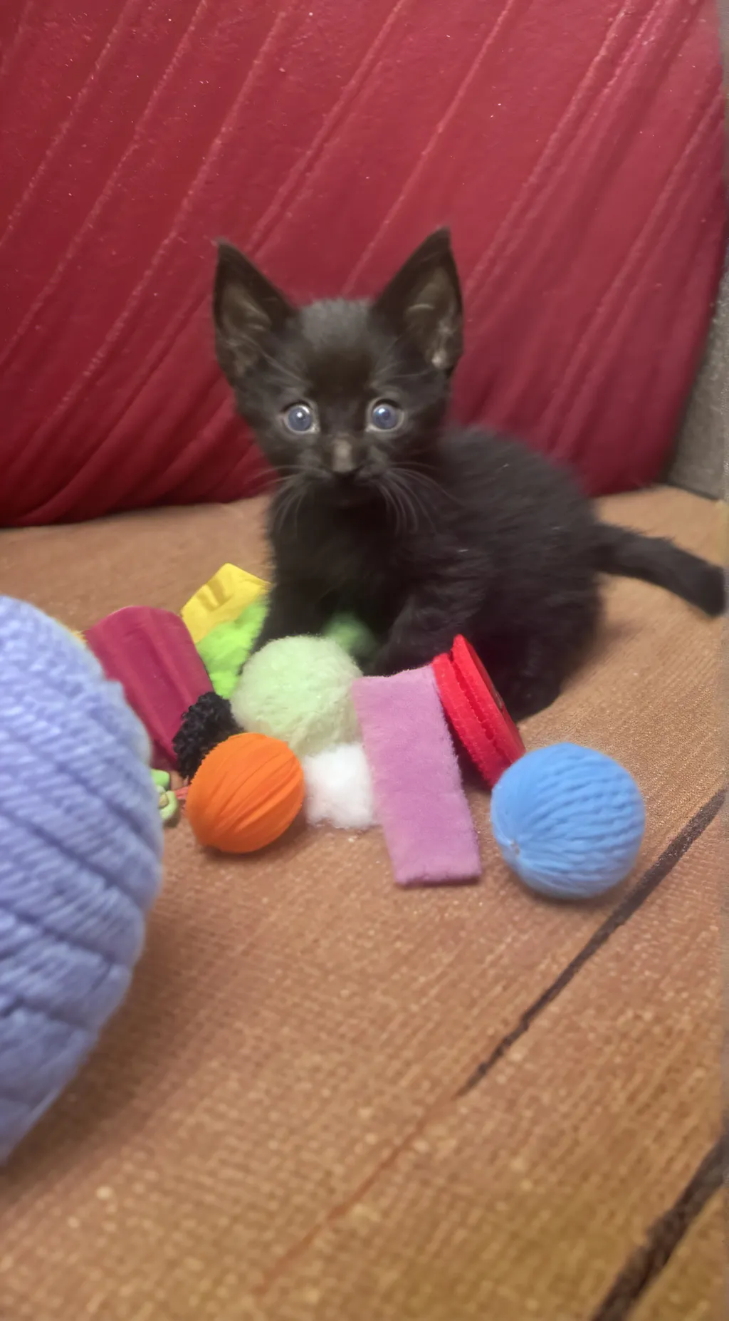 ai character: Baby baer background