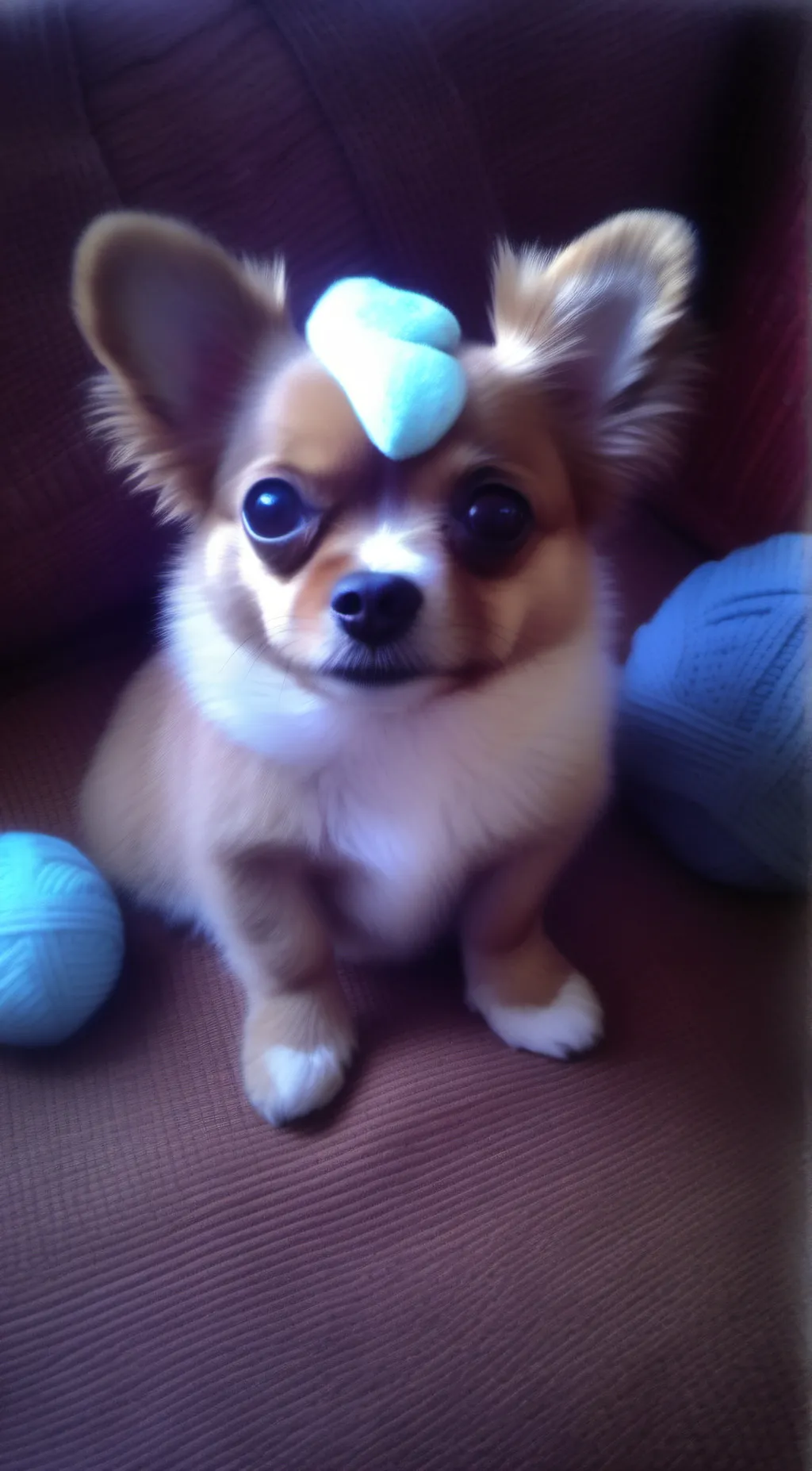 Talkie AI - Chat with hifee