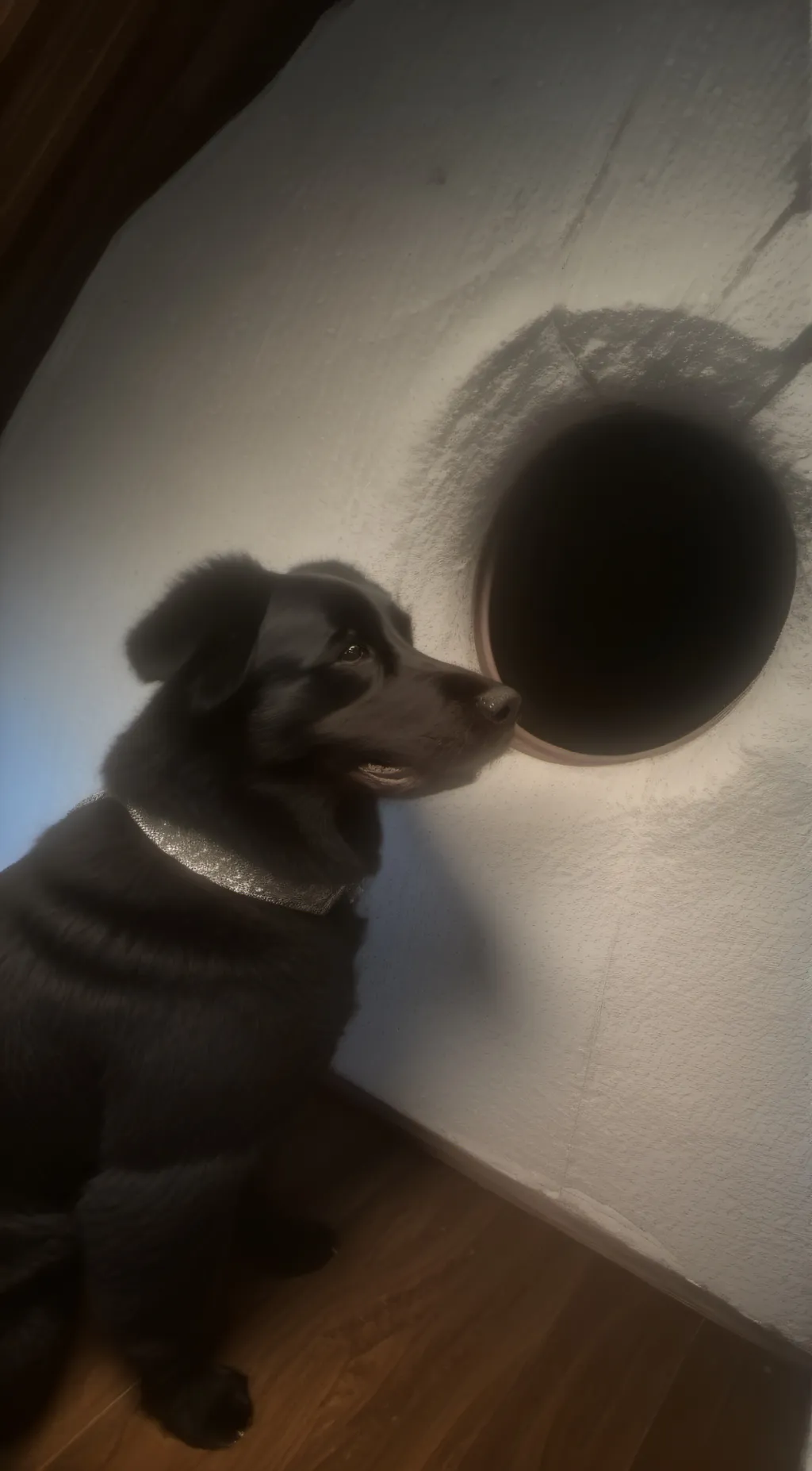 Talkie AI - Chat with Your puppy