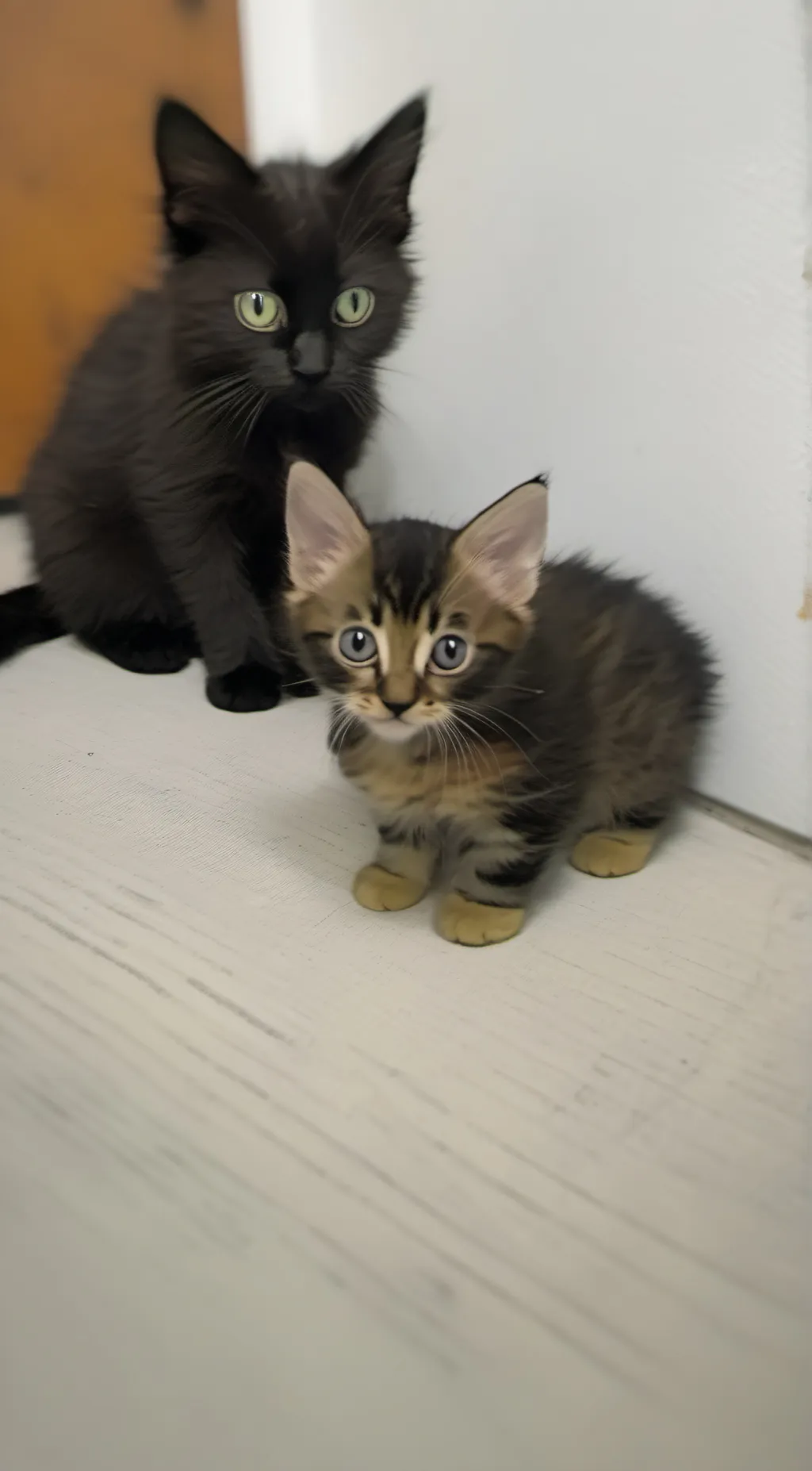 ai character: Guts {SMALLER CAT} background