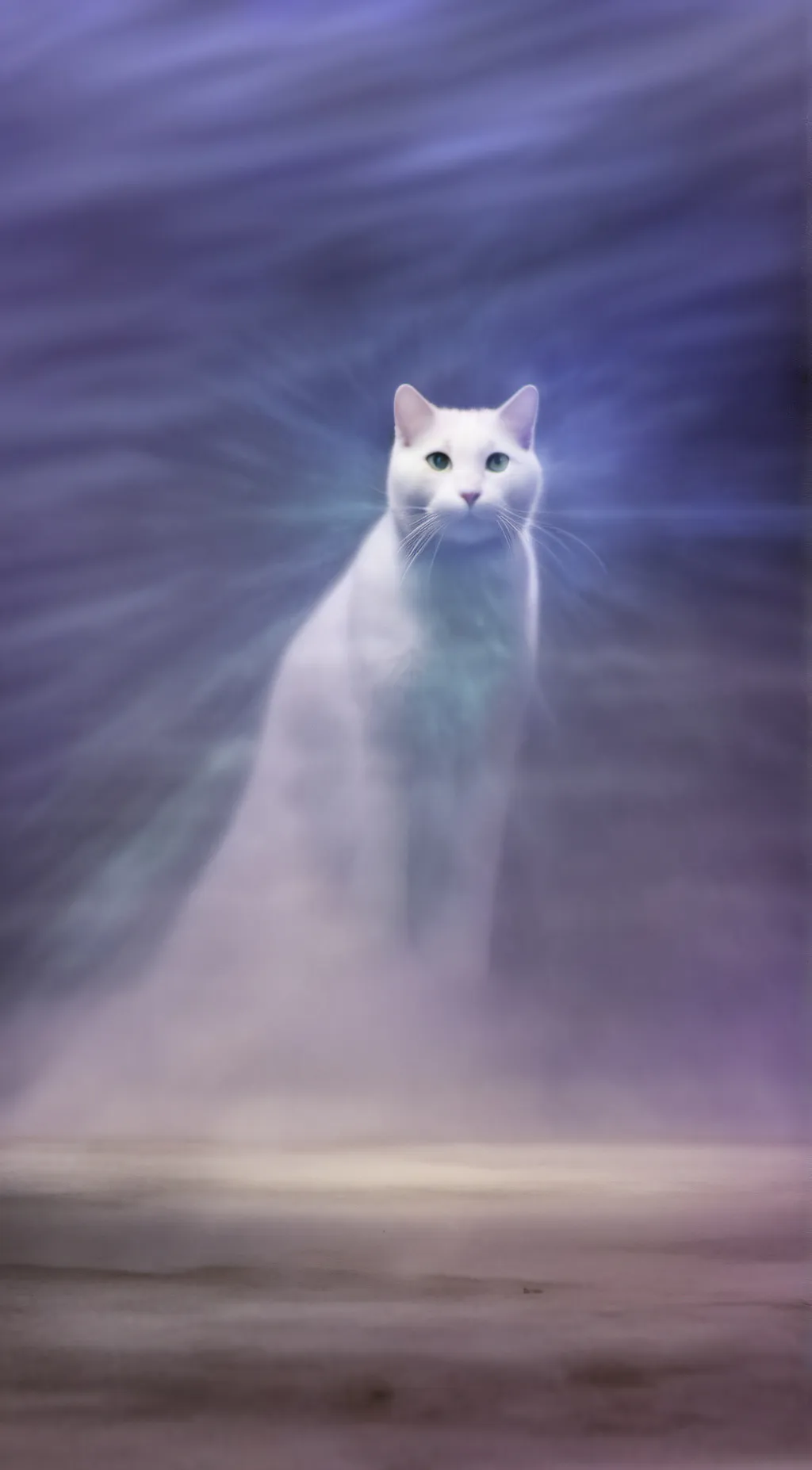 ai character: kaos (my dead cat😢 background